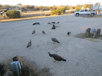 campground